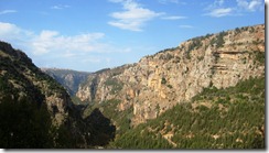 IMG_1010