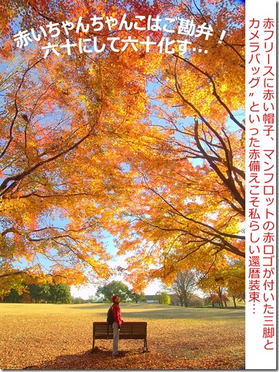 赤備え自撮り　文字あり　1