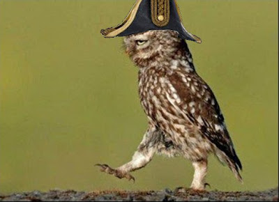 Captain owl in charge