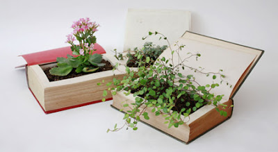 beautiful Book Plant Pot