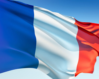  French+flag+cartoon