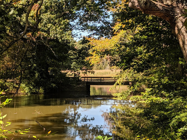 East River Preserve