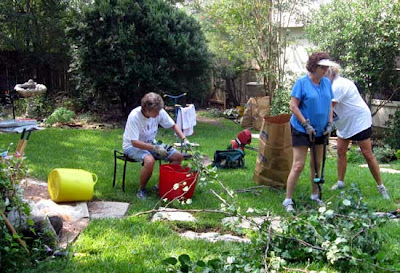 DivasoftheDirt, reduce limbs to recycle