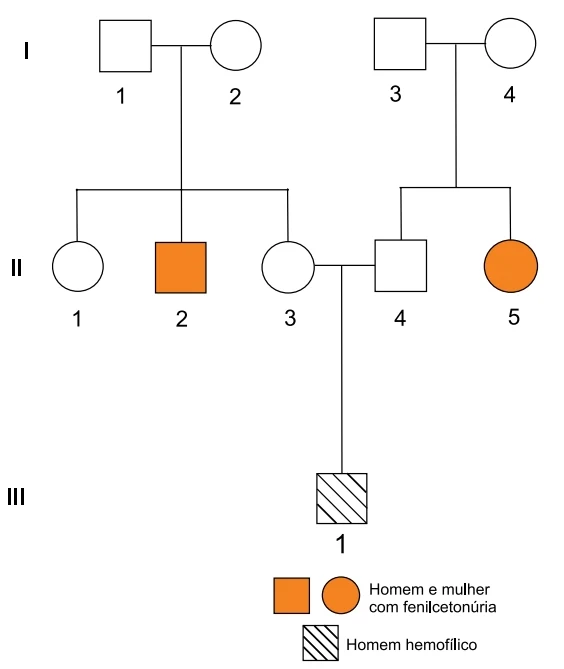 A fenilcetonúria é uma condição genética determinada por um par de alelos autossômicos recessivos. Já a hemofilia