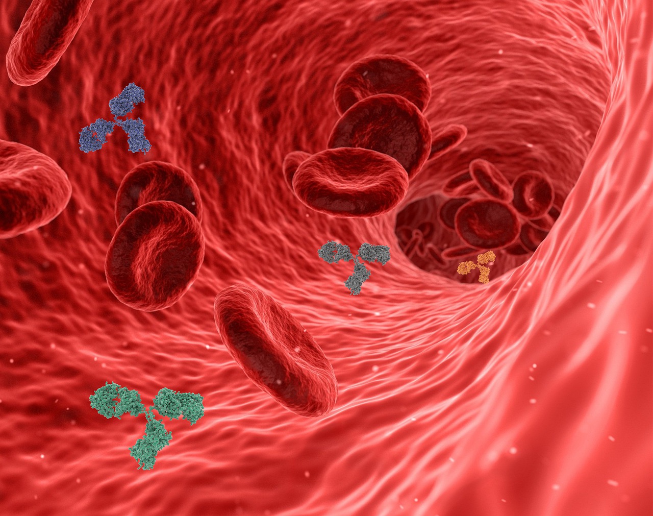 Symptoms Of Block Vessels