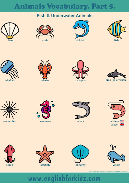 Sea animals vocabulary to learn English – printable ESL worksheets