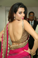 Deeksha Panth Hot Photo in Pink Half-Saree