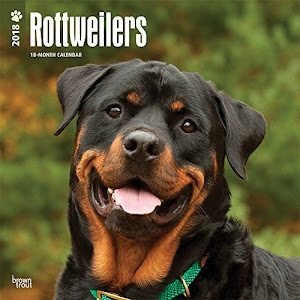 Rottweilers - Rottweiler 2018 - 18-Monatskalender mit freier DogDays-App: Original BrownTrout-Kalender [Mehrsprachig] [Kalender] (Wall-Kalender)