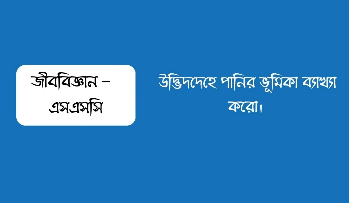 উদ্ভিদদেহে পানির ভূমিকা ব্যাখ্যা করো।