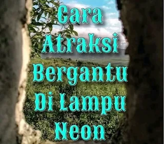 cara belajar atraksi berdiri di lampu neon