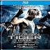 DRAGON TIGER ( 2016 ) 288 MB Dual voice Hindi + English