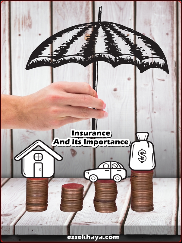 What You Need to Know About Insurance And Its Importance