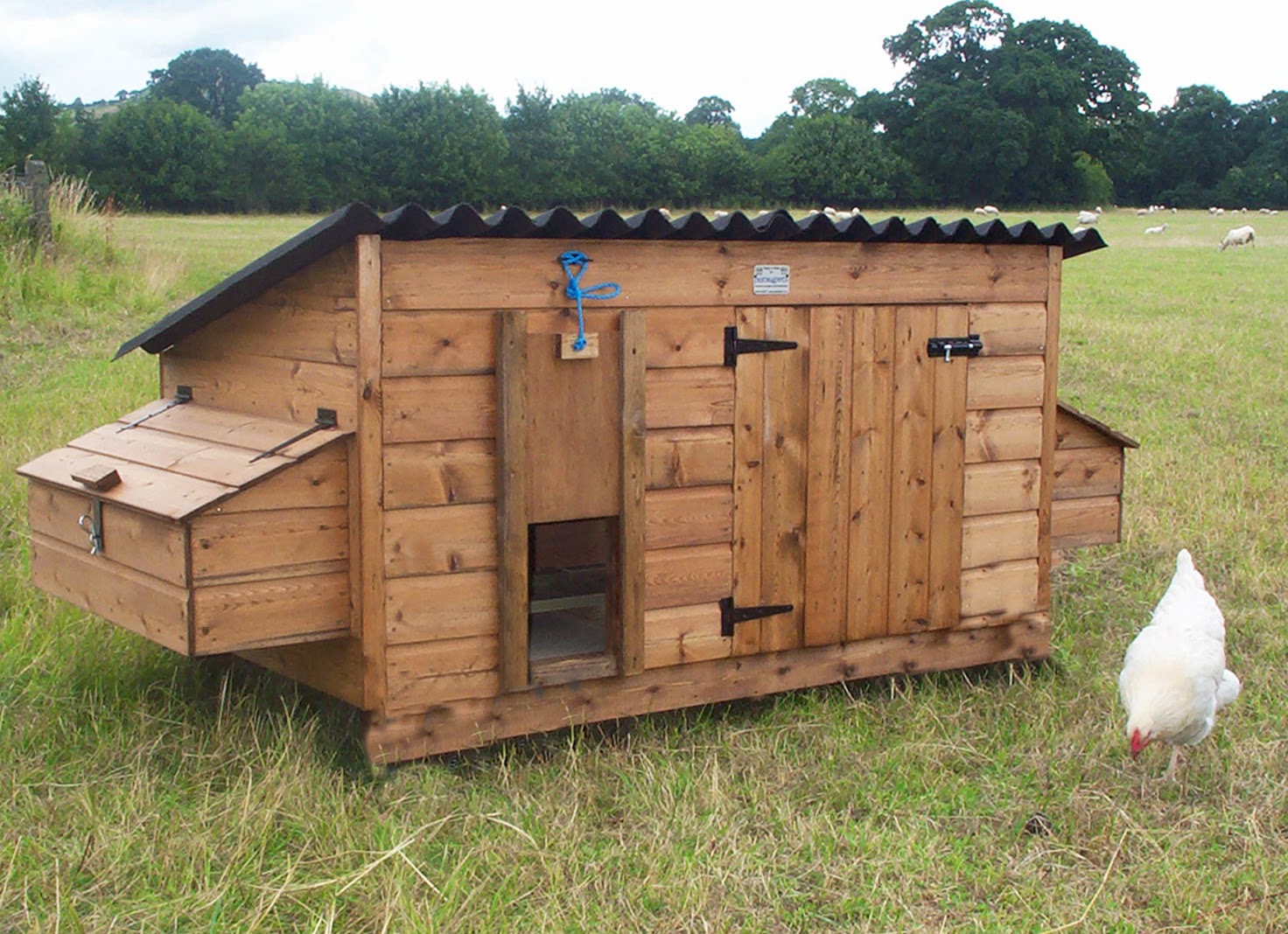  Chicken  House  Plans  Simple  Chicken  Coop  Designs 