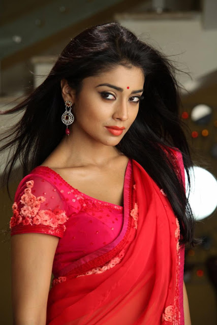 Stunning Hot Shriya Saran Pics in saree