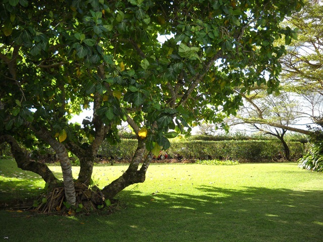 DSCN4630_2