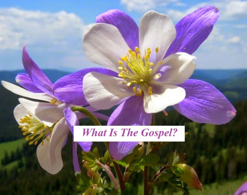 http://www.kathryncurrier.com/images/what_is_the_gospel_.mp3