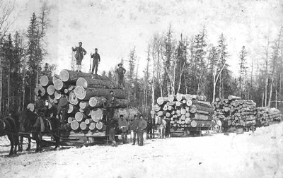 Ponsford_logging_pic