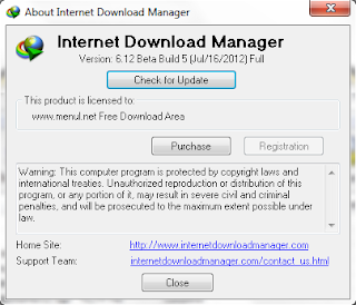 Internet Download Manager 6.12 Beta Build 5 incl Patch