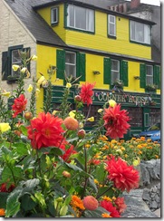 colourful corner tarbert