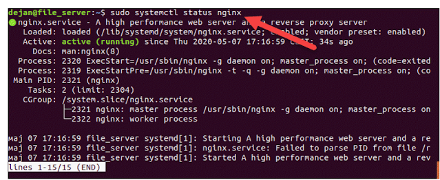 Run the Nginx server