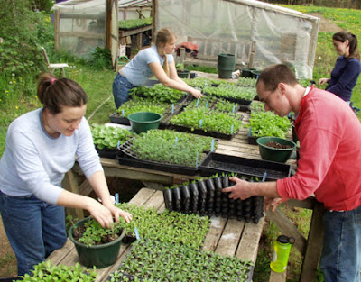 Agricultura ecológica