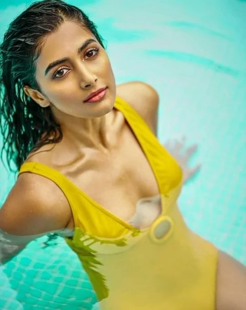 Pooja Hegde hot, Pooja Hegde sexy, Pooja Hegde sexy bikini, Pooja Hegde sexy butt, Pooja Hegde nude, Pooja Hegde hot boobs and clevege Show