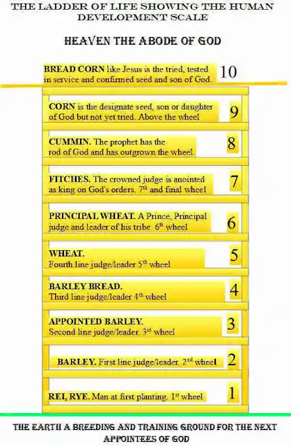 The Human Development Index of God