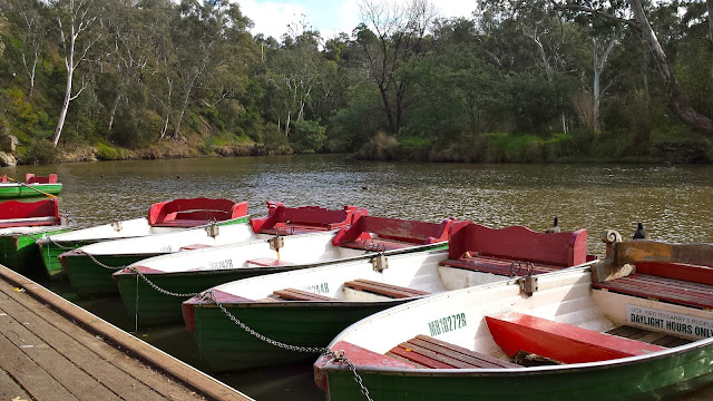 Yarra River Studley Park