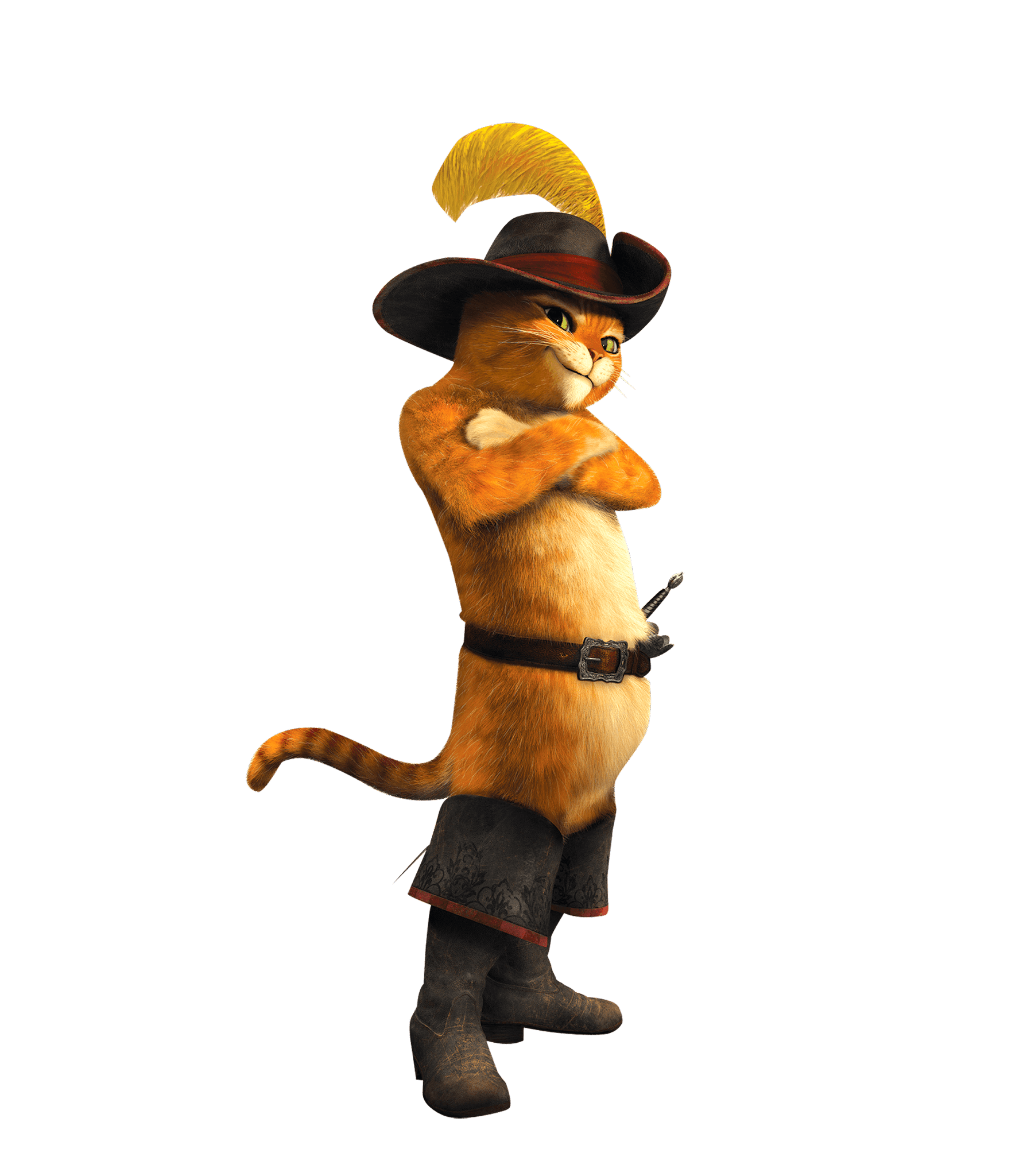 gato con botas png