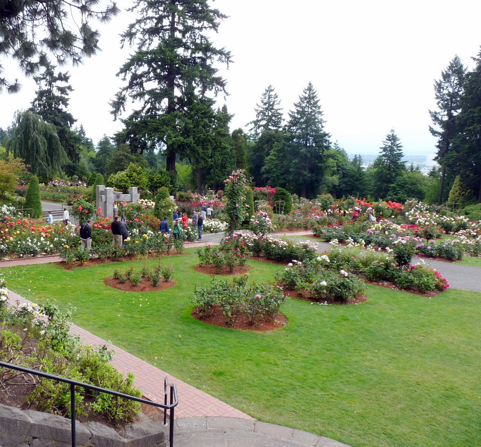 Portland's International Rose Test Gardens at Washington ...
