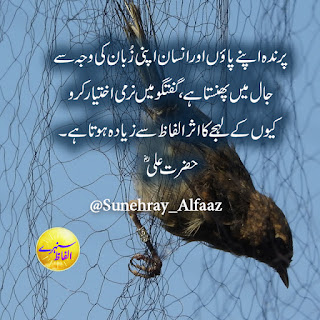 hazrat ali quotes in urdu