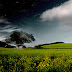 Nature Fantasy Pictures, Widescreen