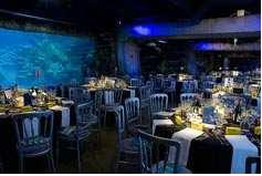 venue hire london aquarium