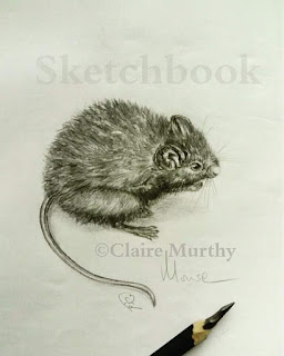 mouse pencil sketch