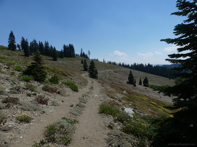 082: meadow with tracks