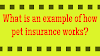 What is an example of how pet insurance works?