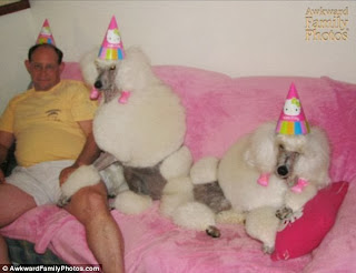 http://www.dailymail.co.uk/news/article-2504252/Animal-lovers-Hilarious-photographs-just-people-awkwardly-adore-beloved-pets.html