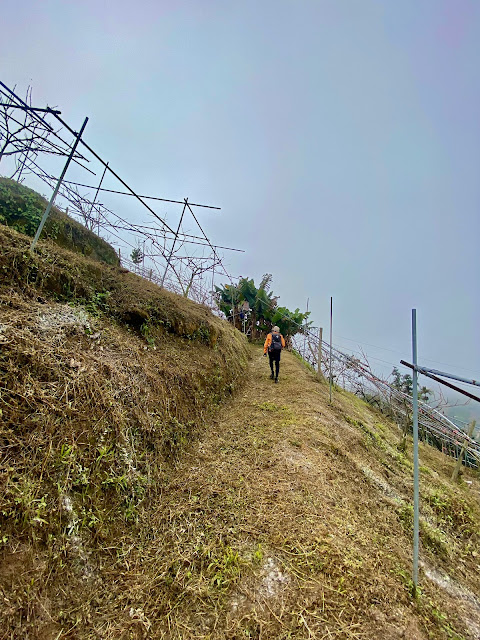 往麻竹坑山