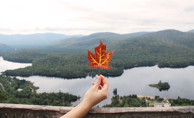 https://passportpourlinconnue.blogspot.com/2019/04/Parc-Nationaux-Quebec.html