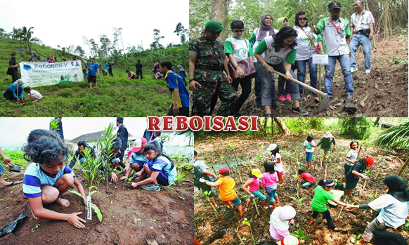 Pengertian Reboisasi Serta Fungsinya  Seputar Pengertian