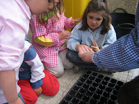 niños sembrando los pimientos de Padrón