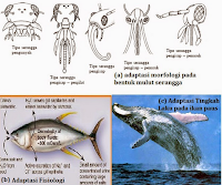 Pengertian adaptasi dan macam macam adaptasi Pengertian Adaptasi dan Macam macam Adaptasi