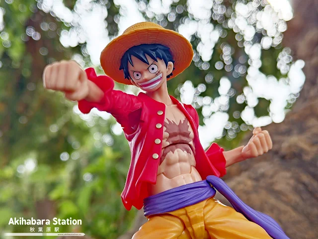 Un viaje a través de las S.H.Figuarts de Anime - 15º aniversario de Tamashii Nations