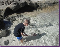 2012-11-12 beach 003