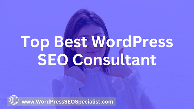 Discovering the Top WordPress SEO Consultant for 2024