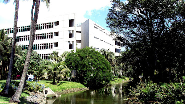 University of Miami School of Business Administration