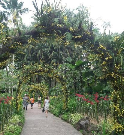 5 Taman  dan Kebun Terbaik untuk Liburan di  Singapore 