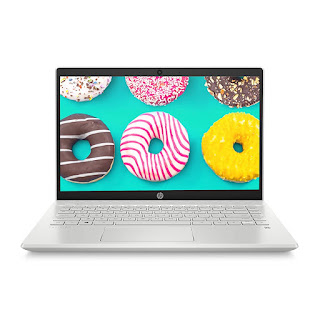 HP Pavilion 10th Gen Intel Core i5 14-Inch FHD Laptop(8GB/256GB SSD + 1TB HDD/Win10/MS Office/Natural Silver/1.59 Kg), 14-ce3065tu