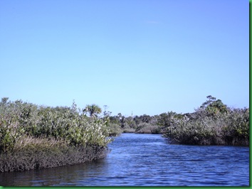 Kayak 025