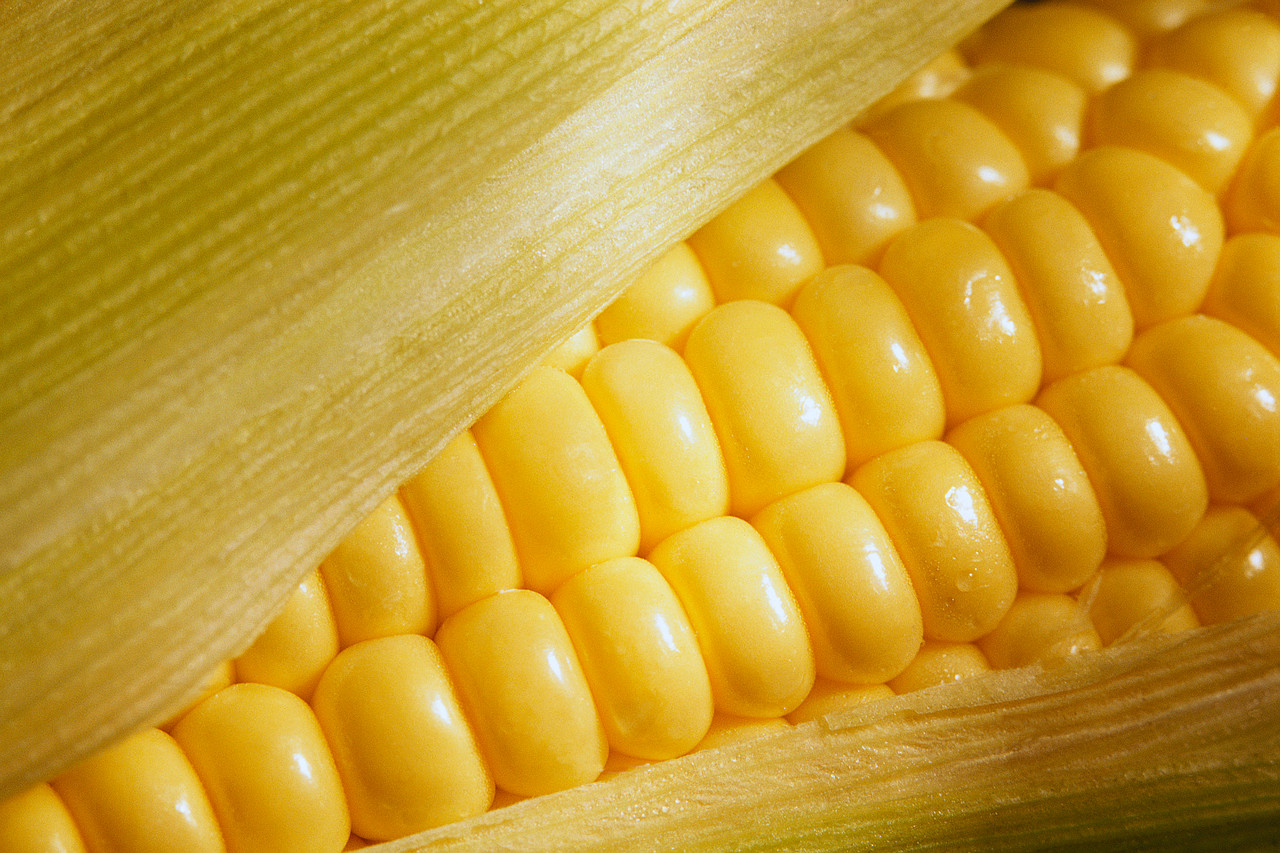 Food of the week: corn